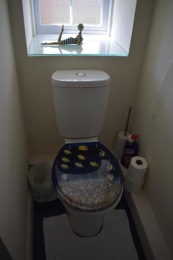 Froglets Appartement Tregoney Buitenkant foto